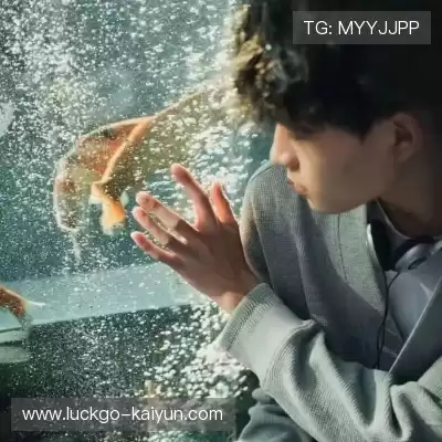 骆瑾昊